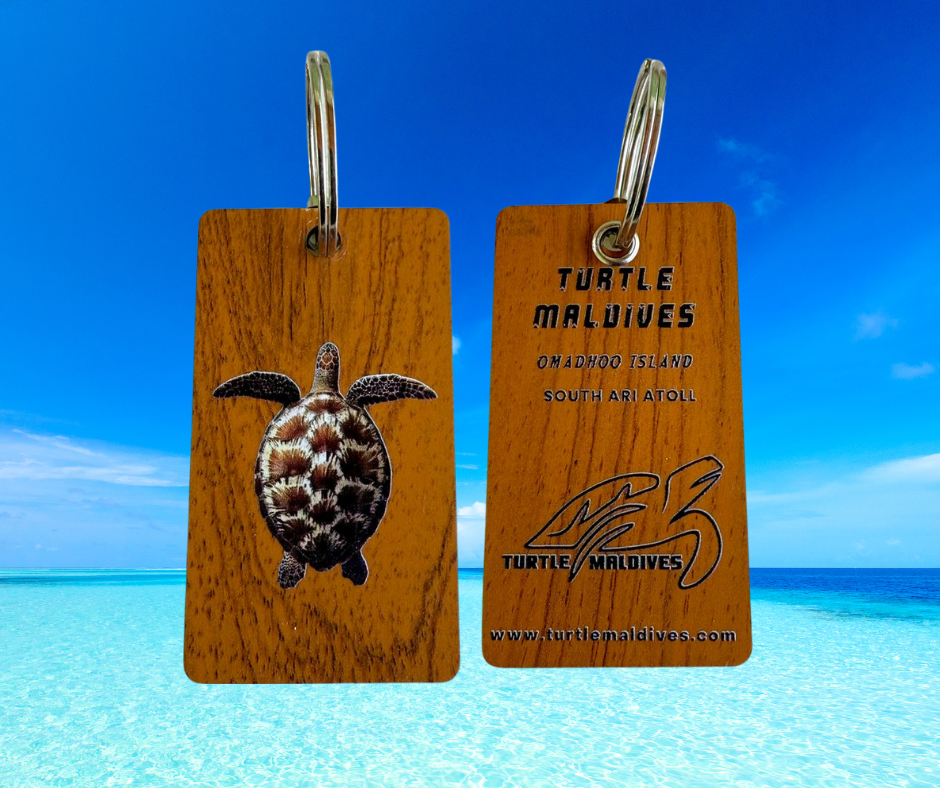 TMSI009 - Wood Key Chain Turtle - Turtle Maldives
