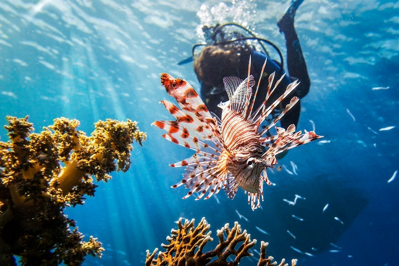 Affordable Island Excursions