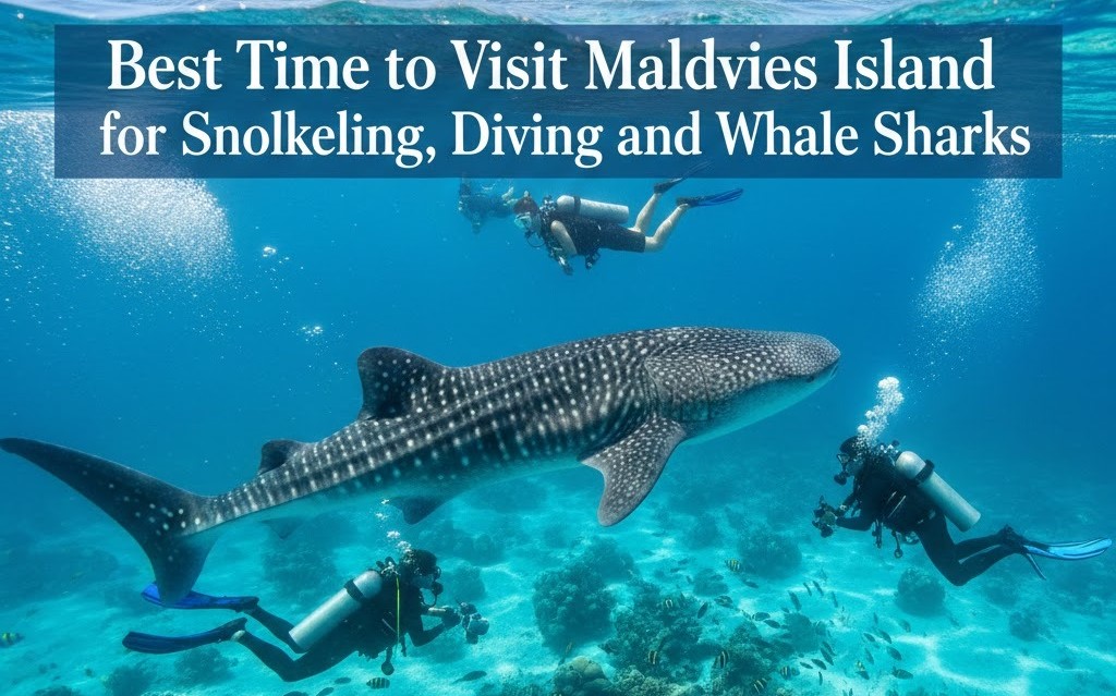 best time to visit Maldives island