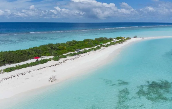 dhigurah-sandbank-summit-1024x683.jpg-1.webp